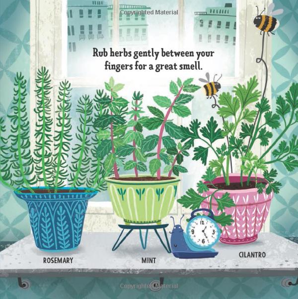 My First Book of Growing Food - Board Book - Image 4