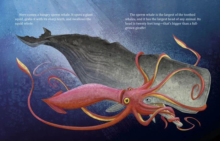 My Little Golden Book About Whales - Hardcover - Image 4