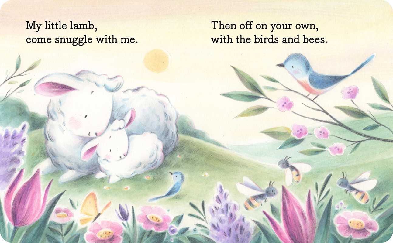 My Little Lamb - Board Book - Image 2