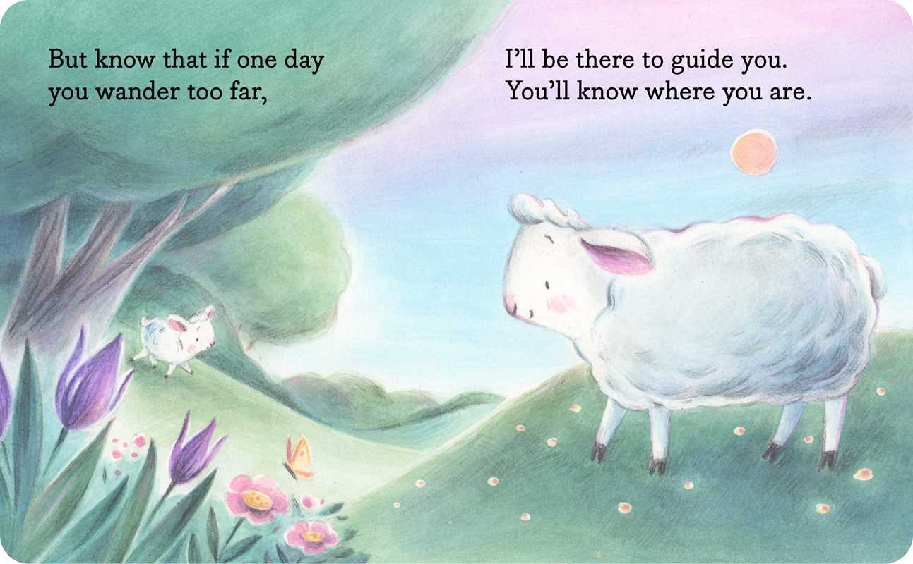 My Little Lamb - Board Book - Image 3