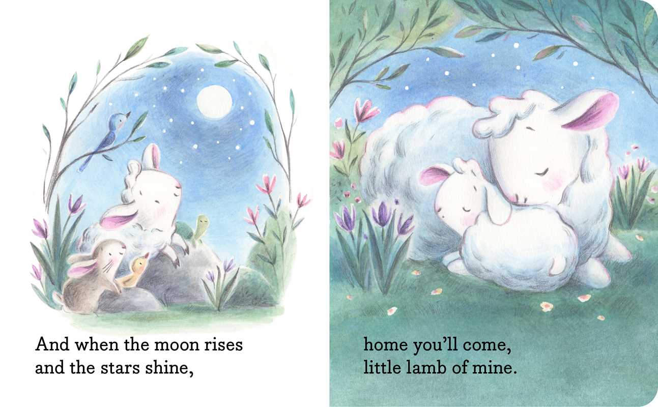 My Little Lamb - Board Book - Image 4