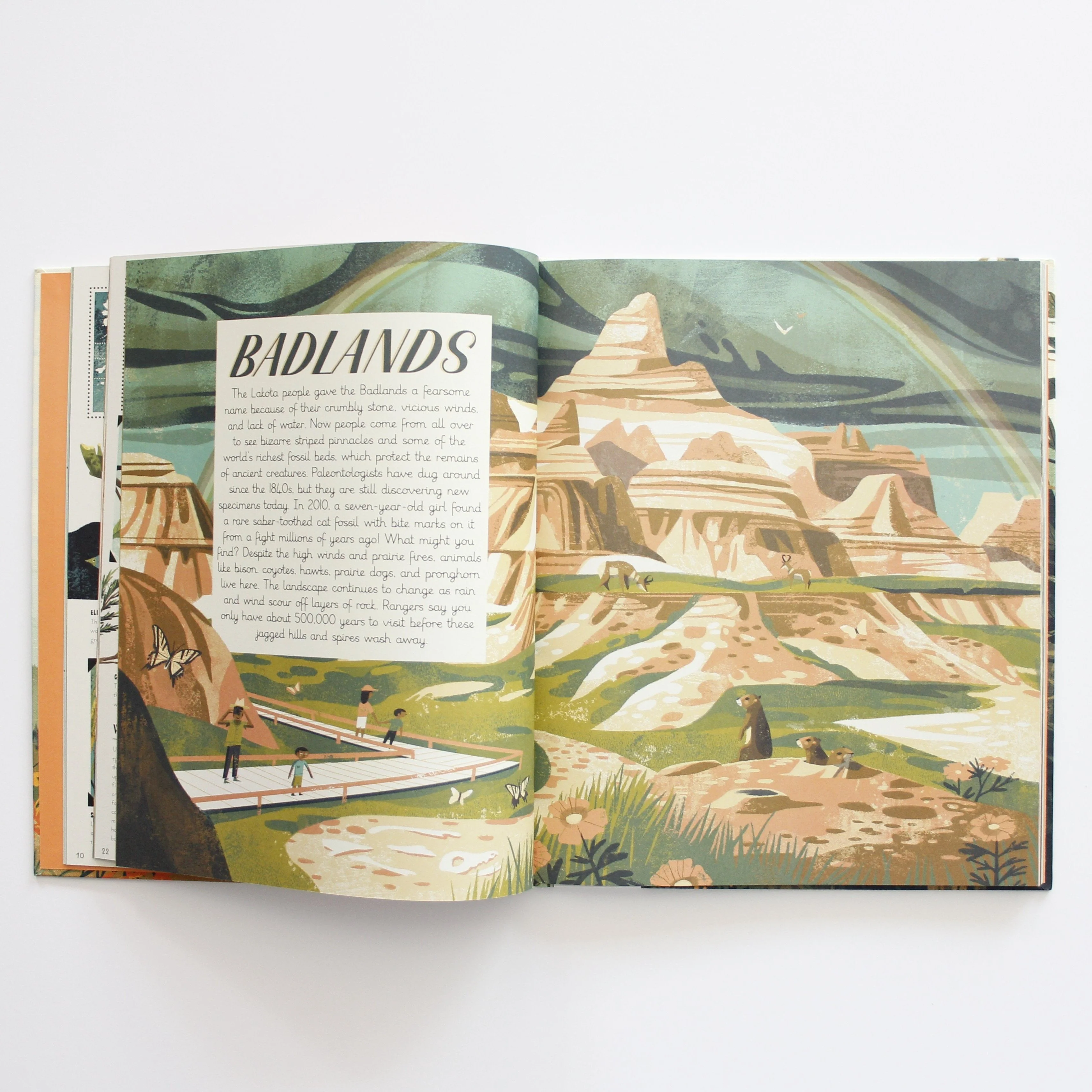 National Parks of the USA - Hard Cover - Image 3