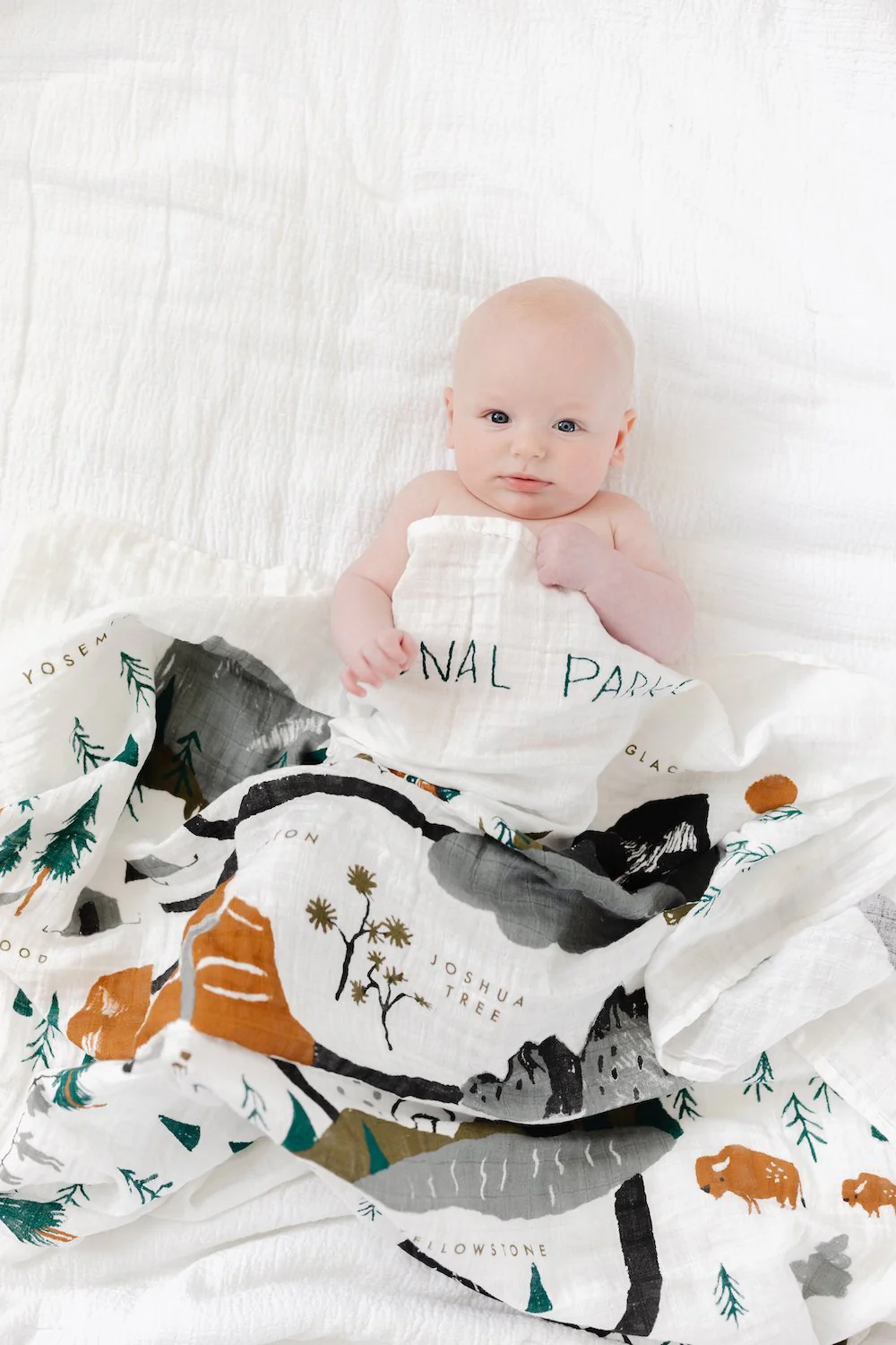 National Parks Swaddle by Clementine Kids - Image 2