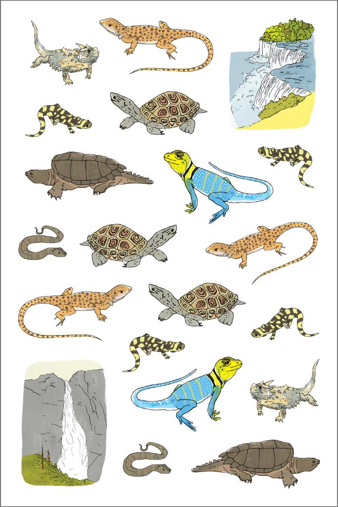 Nature Anatomy Sticker Book - Image 6