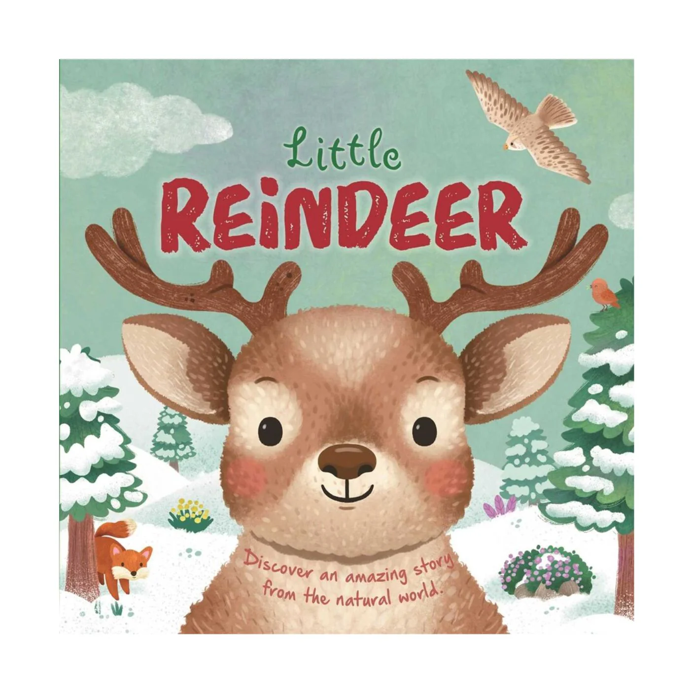 Nature Stories: Little Reindeer - Board Book