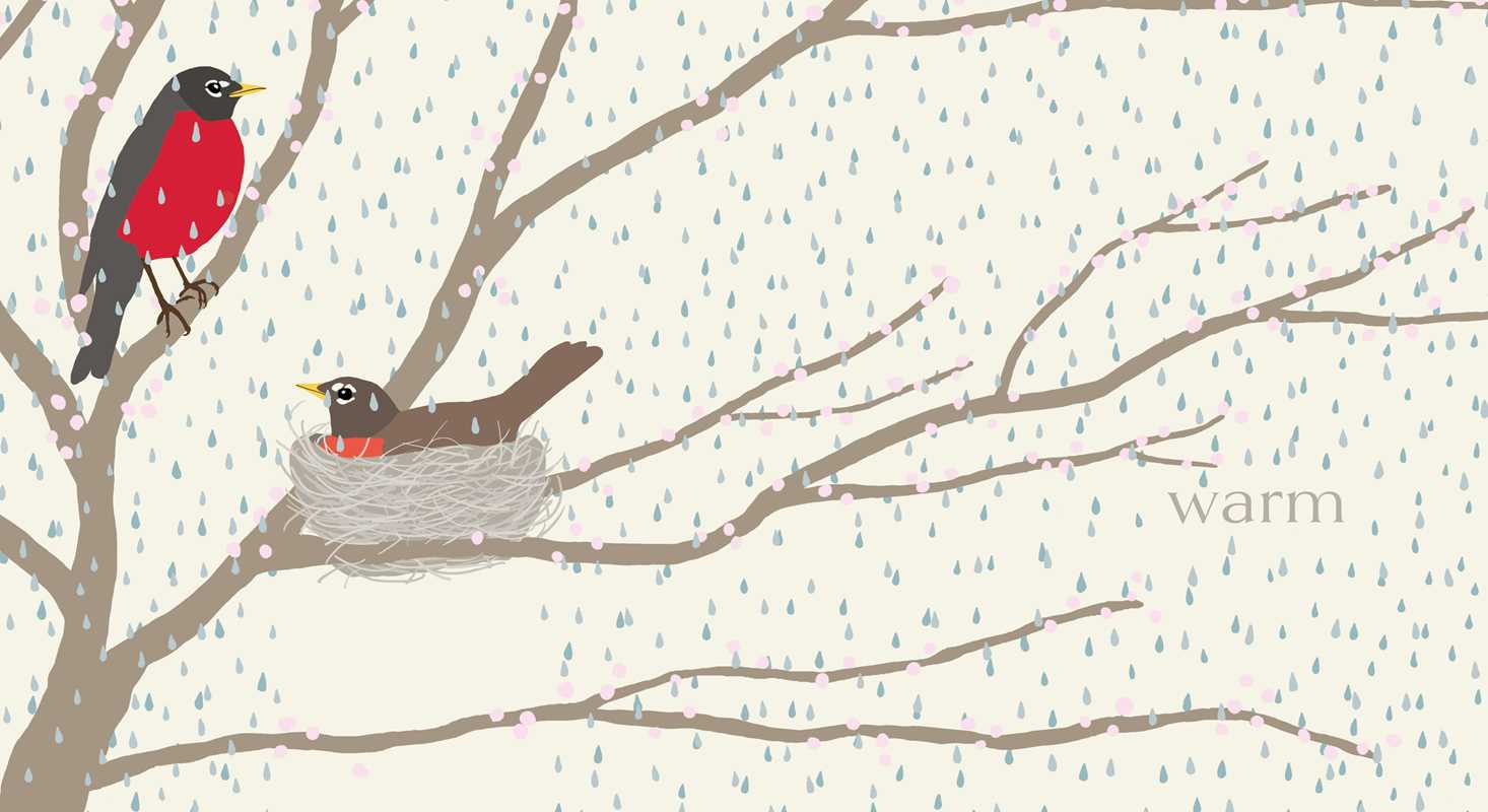 Nest - Board Book - Image 2