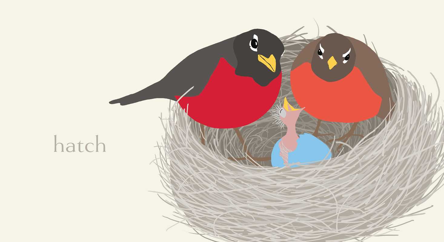Nest - Board Book - Image 3