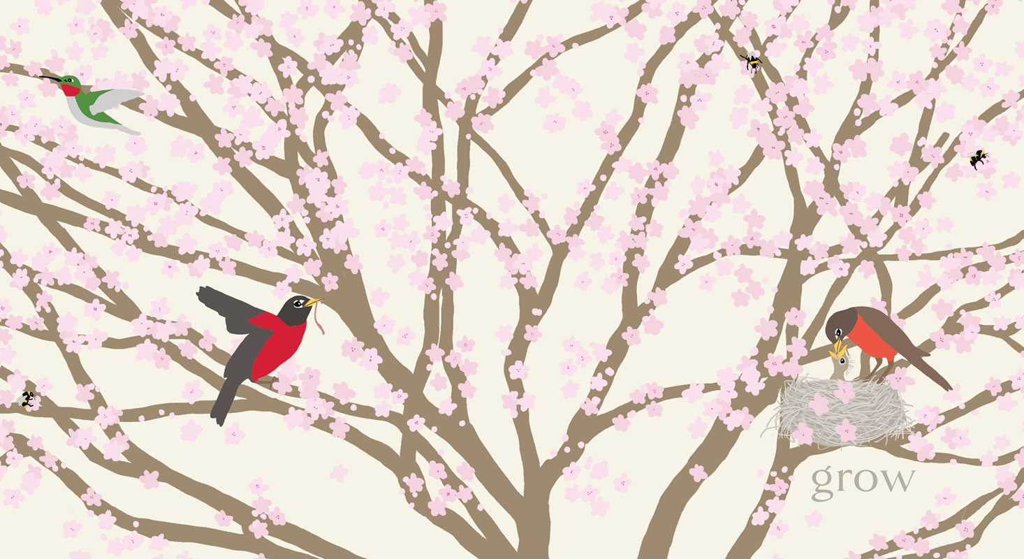 Nest - Board Book - Image 4