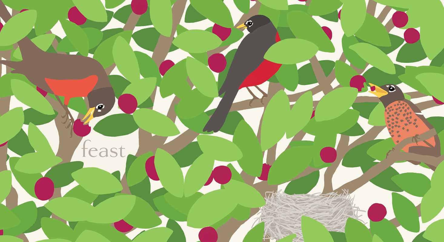 Nest - Board Book - Image 7