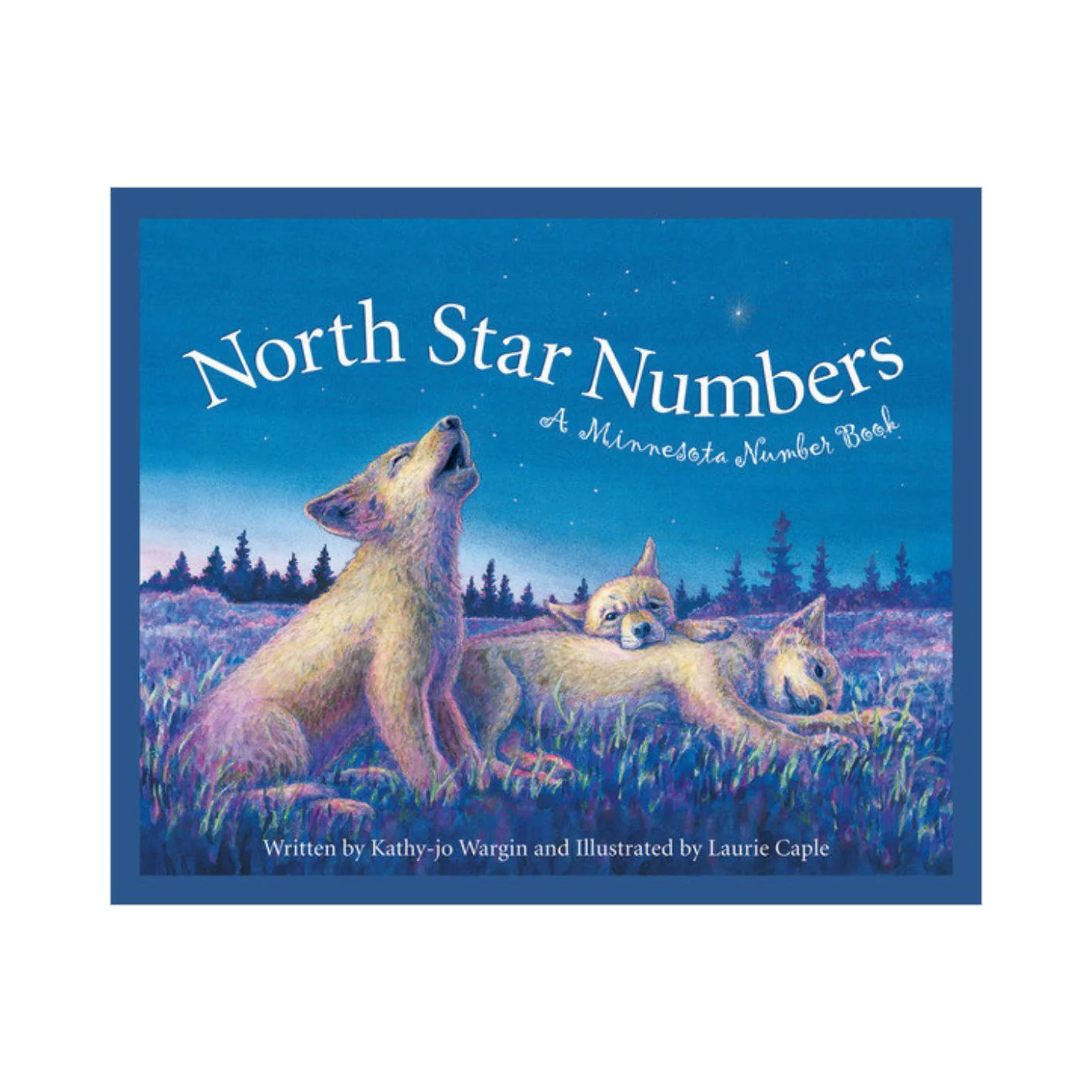 North Star Numbers: A Minnesota Number Book - Hardcover