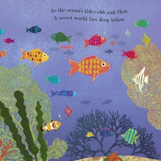 Ocean: A Peek-Through Picture Book - Hardcover - Image 3