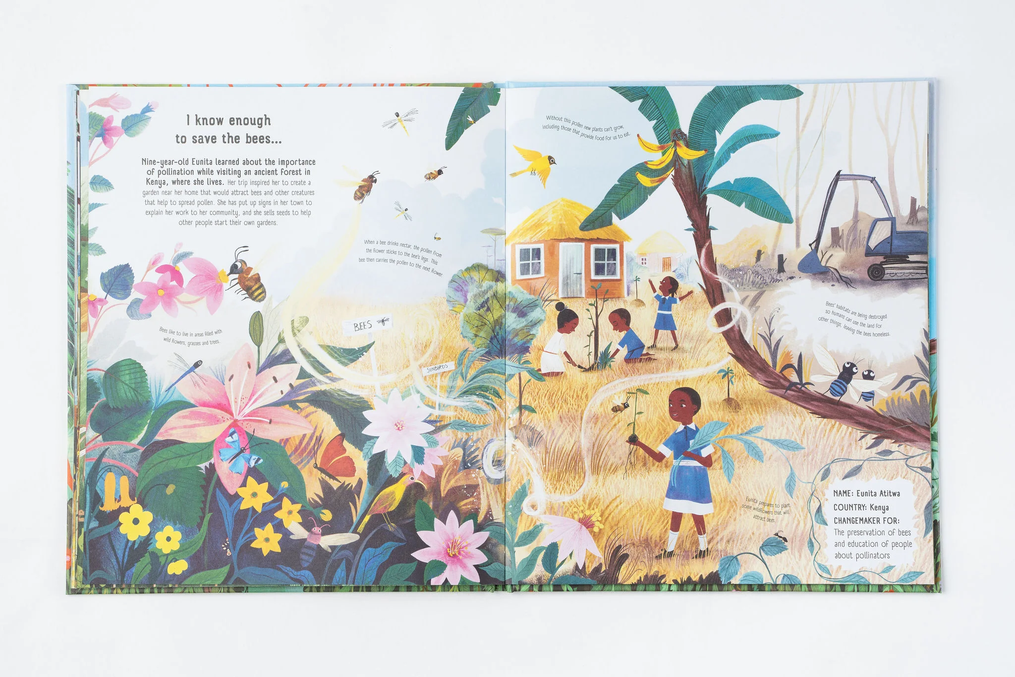 Old Enough to Save the Planet - Hardcover - Image 3