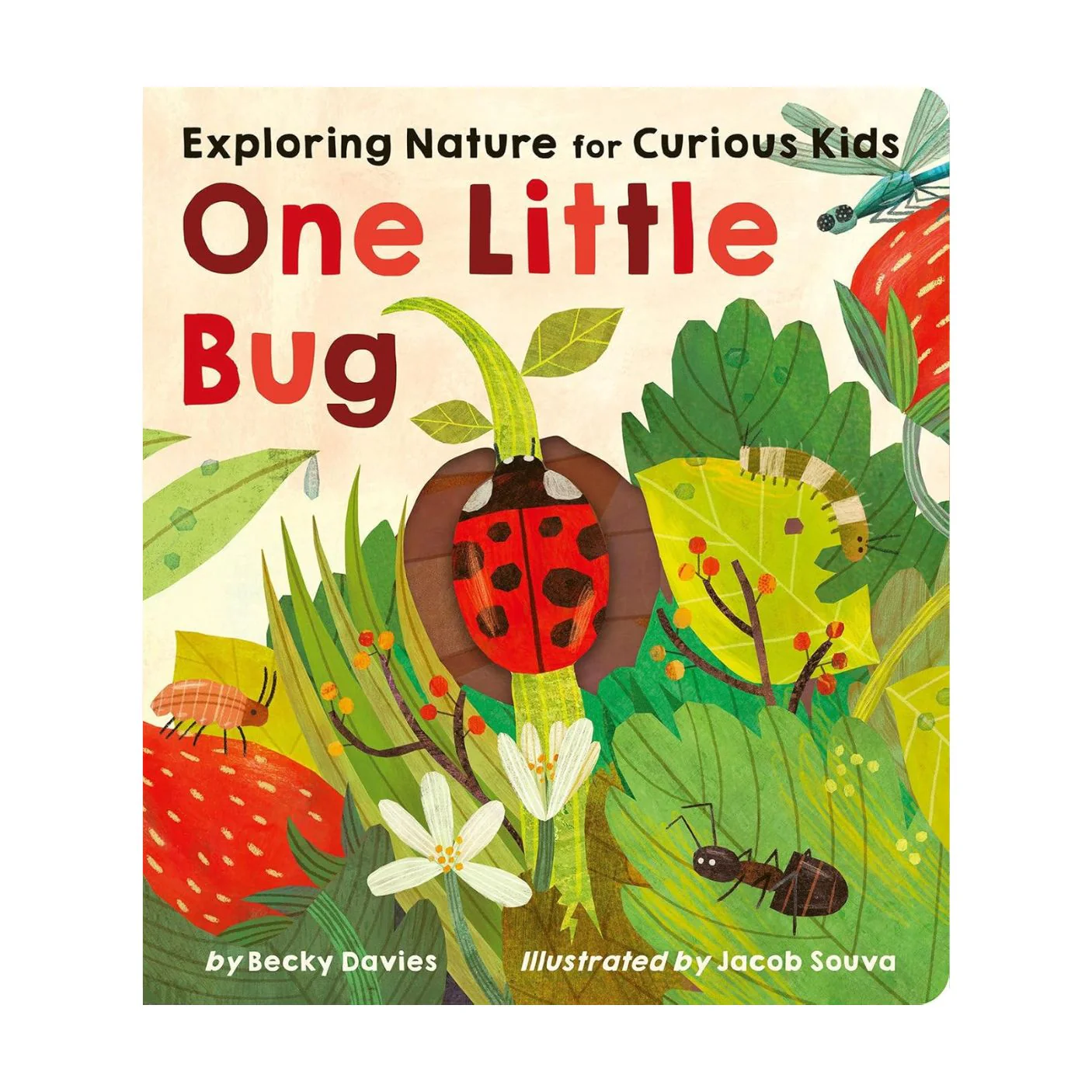 One Little Bug - Board Book