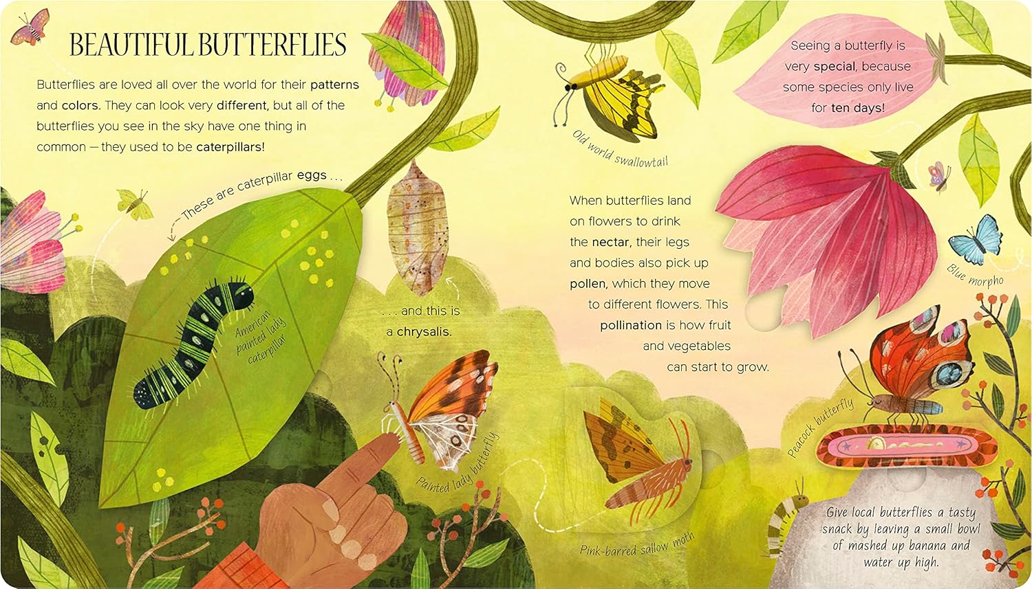 One Little Bug - Board Book - Image 2