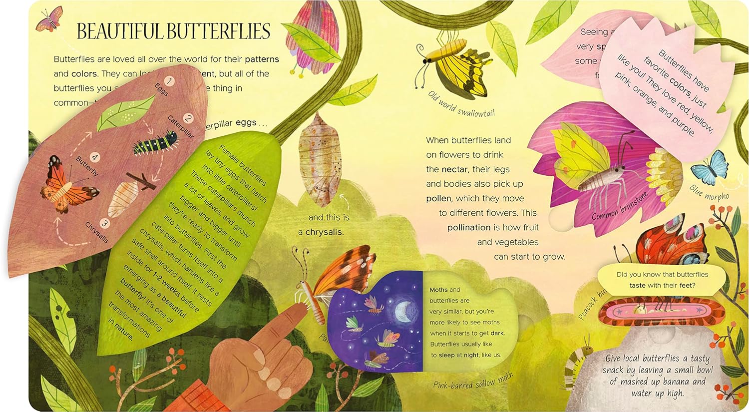 One Little Bug - Board Book - Image 3
