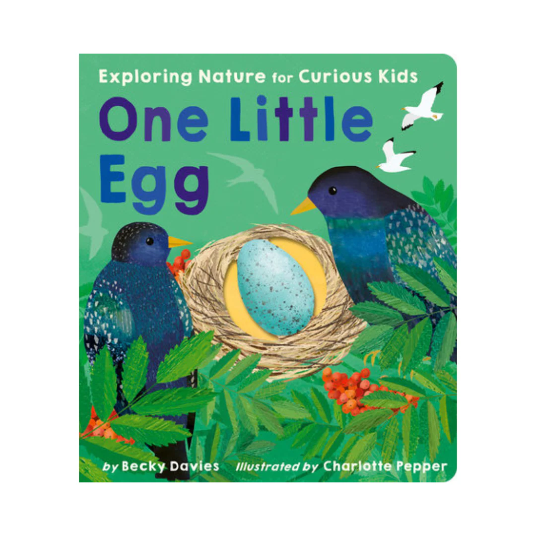 One Little Egg - Board Book