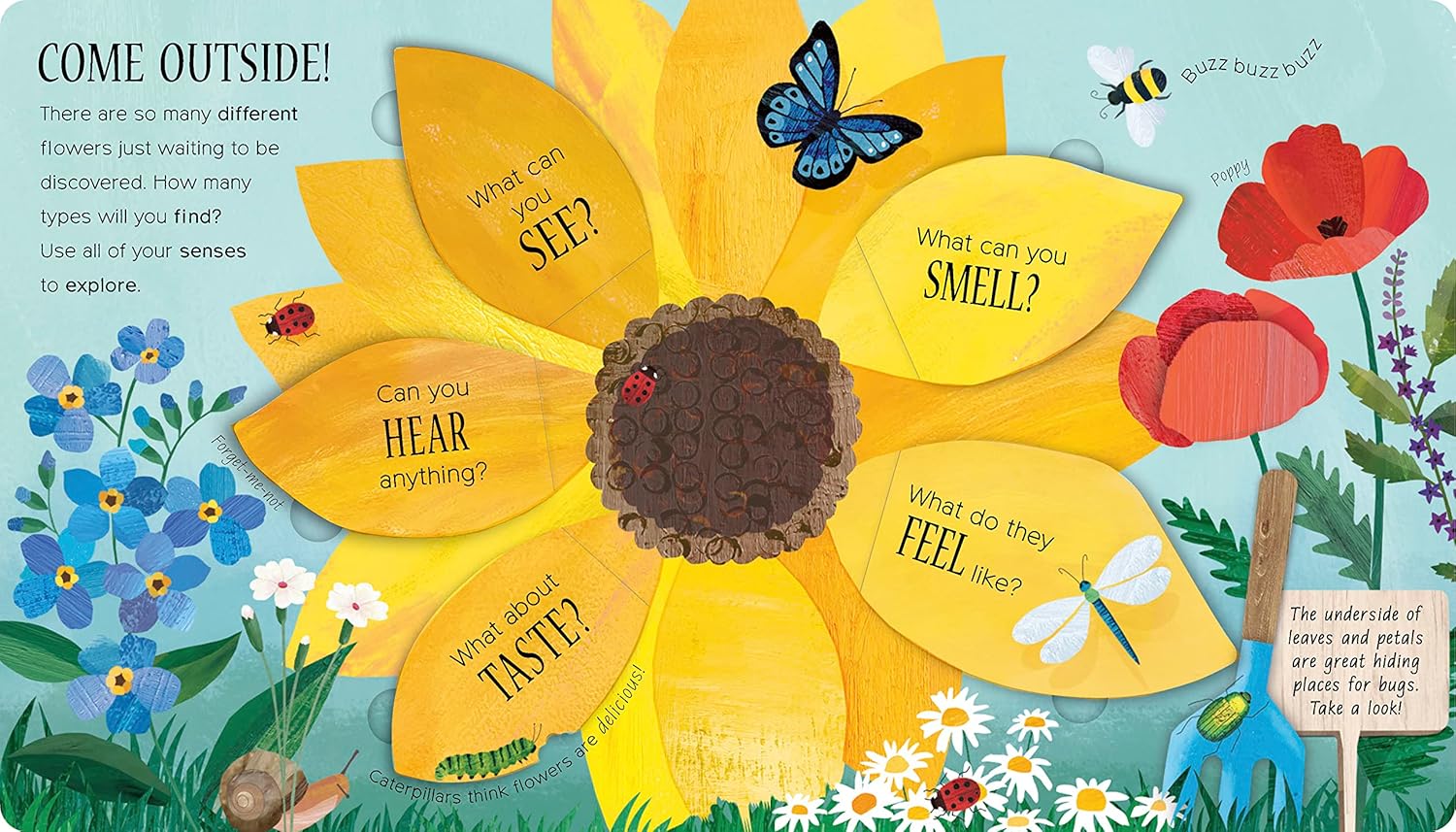 One Little Seed - Board Book - Image 3