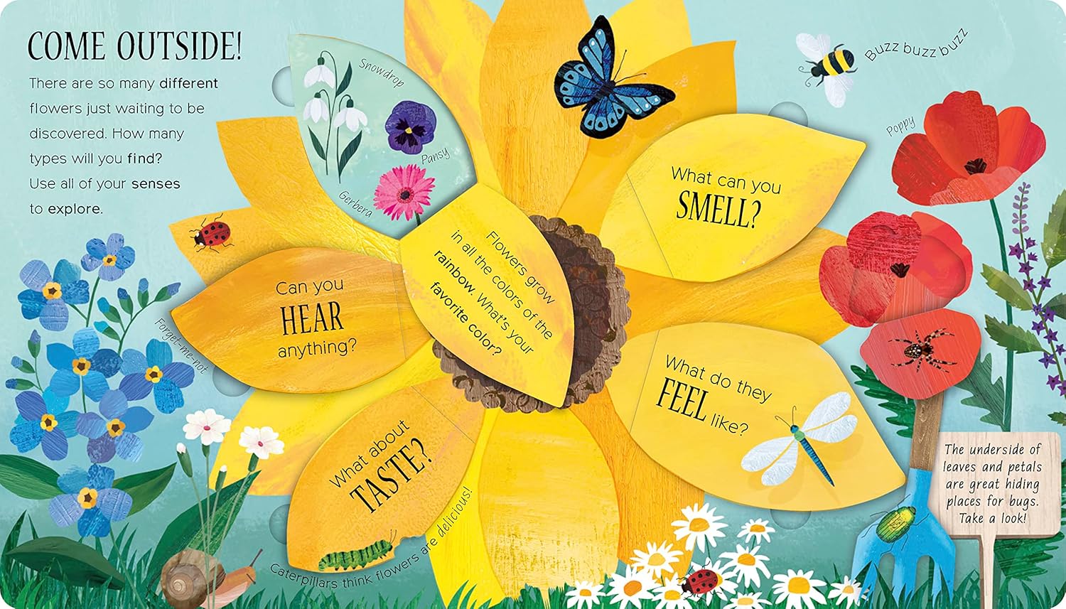 One Little Seed - Board Book - Image 4