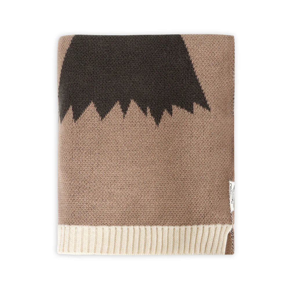 Organic Cotton Jacquard Sweater Knit Baby Blanket - Woodland Bear by Viverano Organics - Image 5