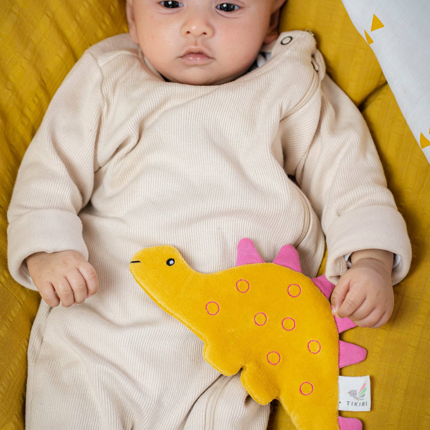 Organic Stegosaurus Crinkle Toy by Tikiri Toys - Image 3