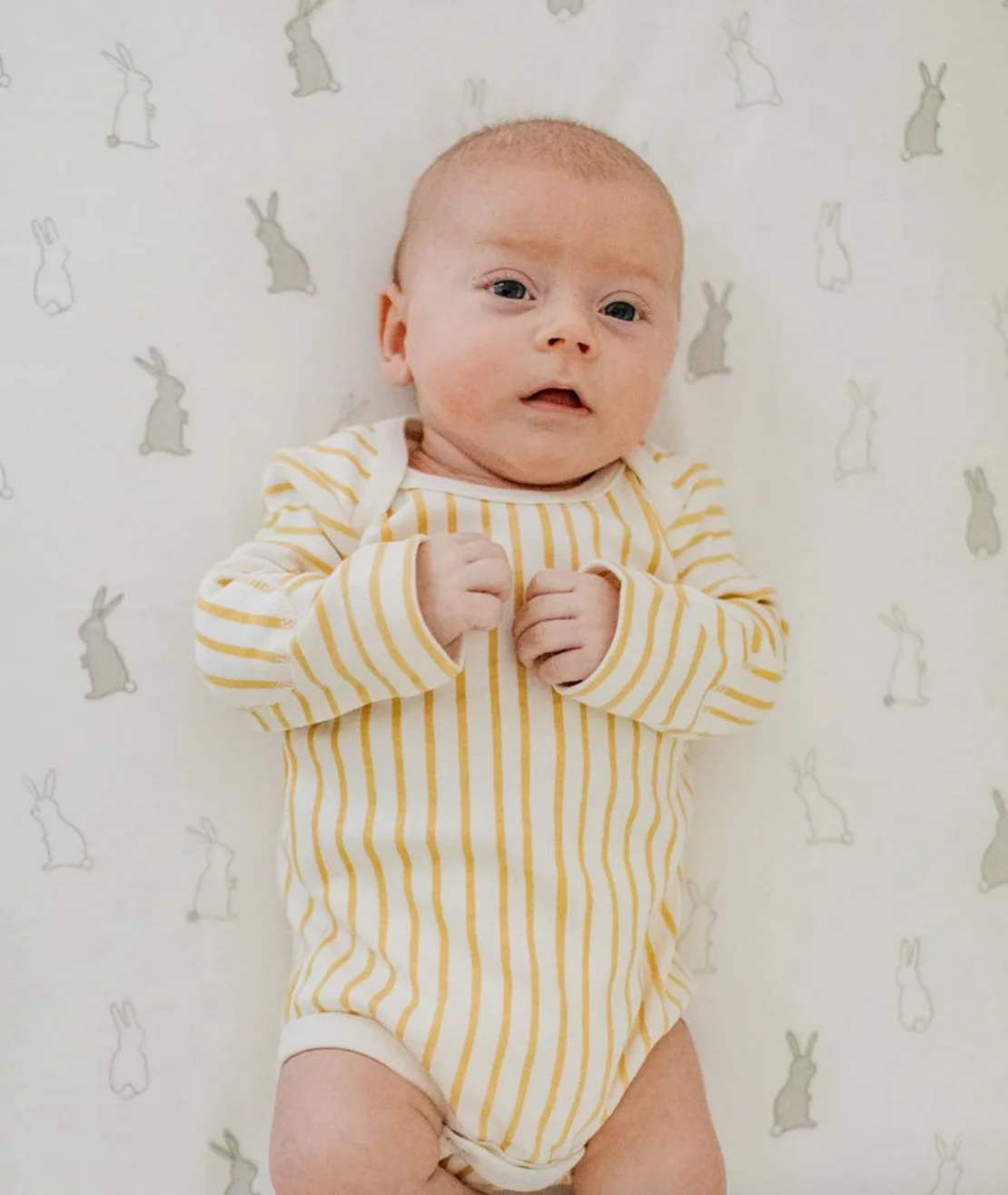 Organic Bunny Hop Crib Sheet by Pehr - Image 2