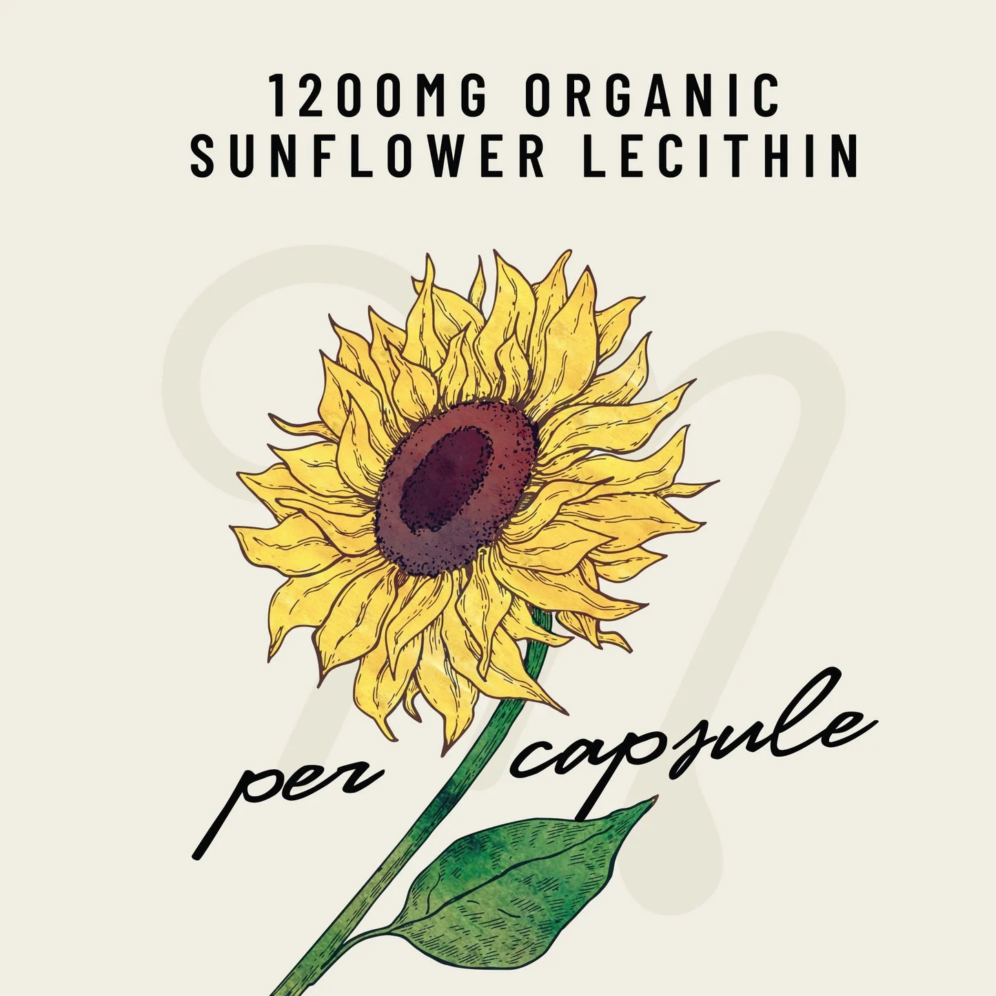 Organic Sunflower Lecithin Lactation Blend - 200 Capsules - Image 3