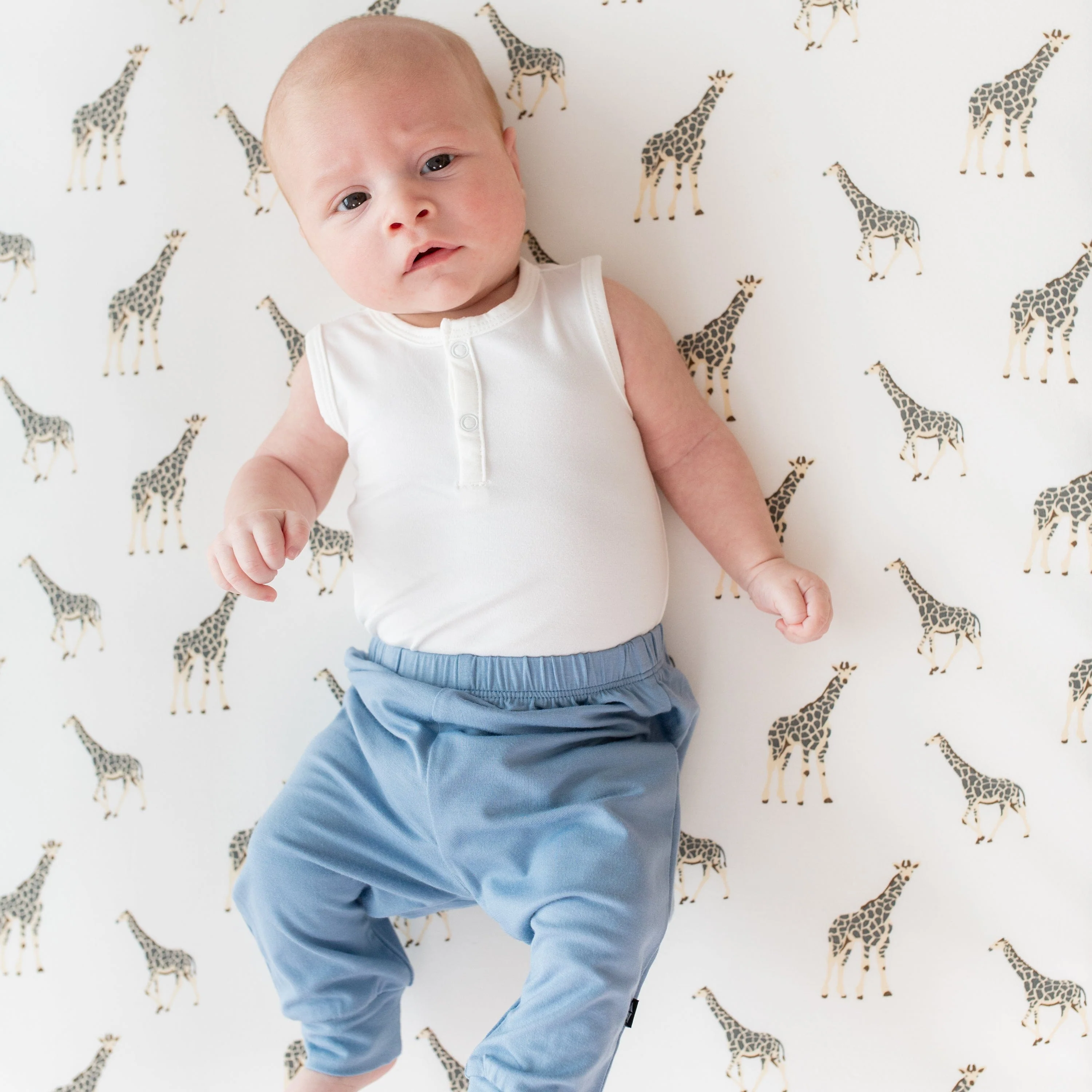 Pant - Slate by Kyte Baby - Image 2