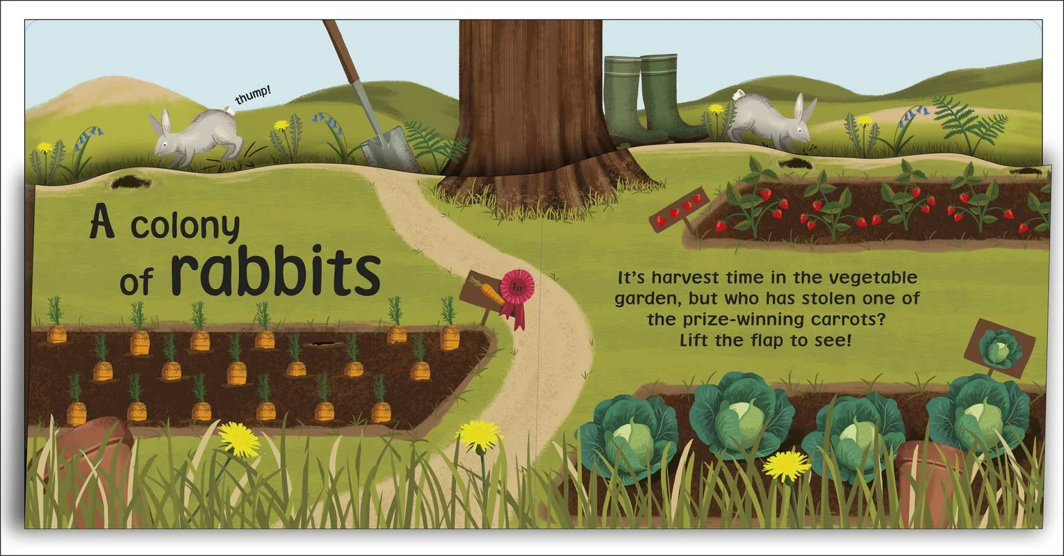 Peek and Seek - Board Book - Image 3