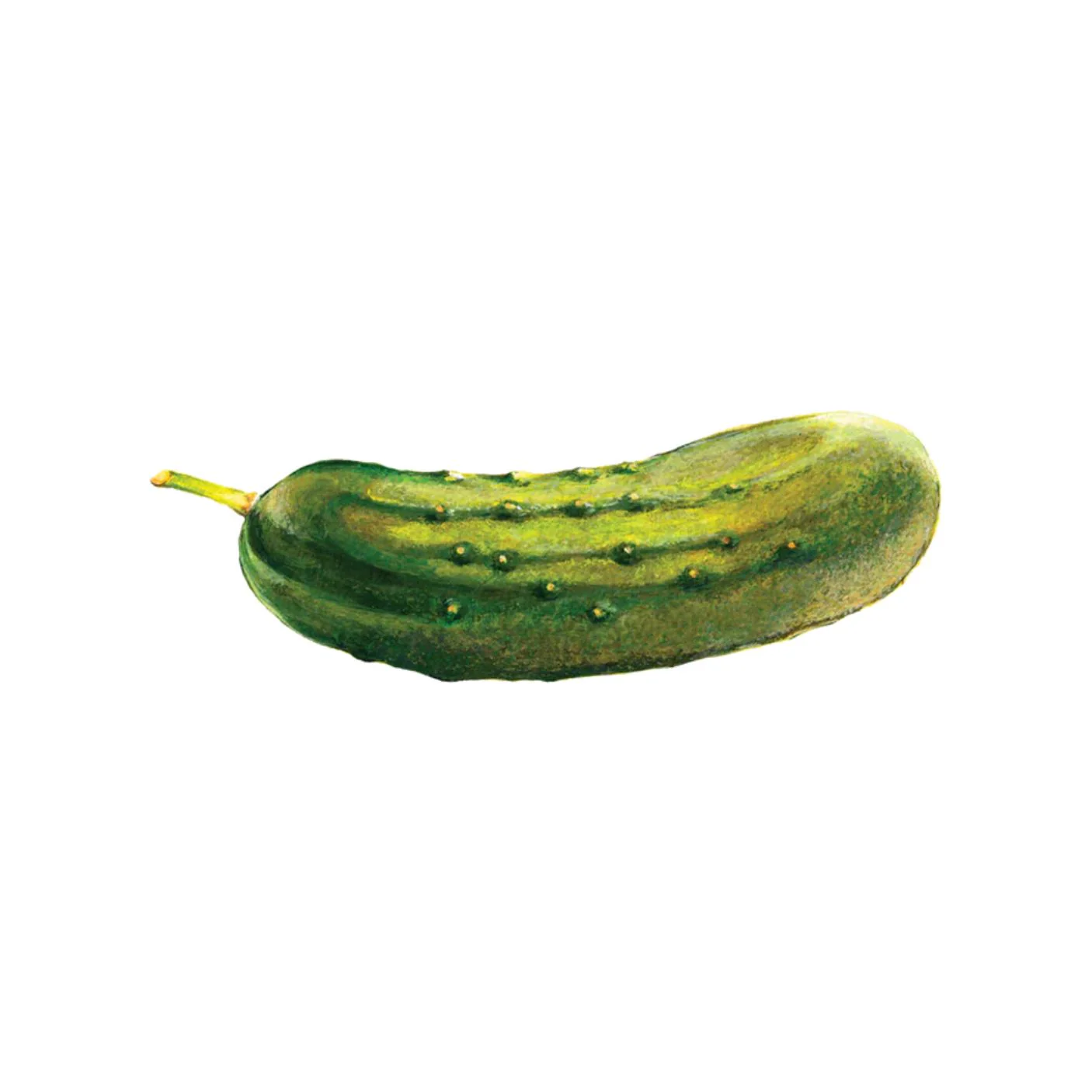 Pickle Tattoo Pair by Tattly