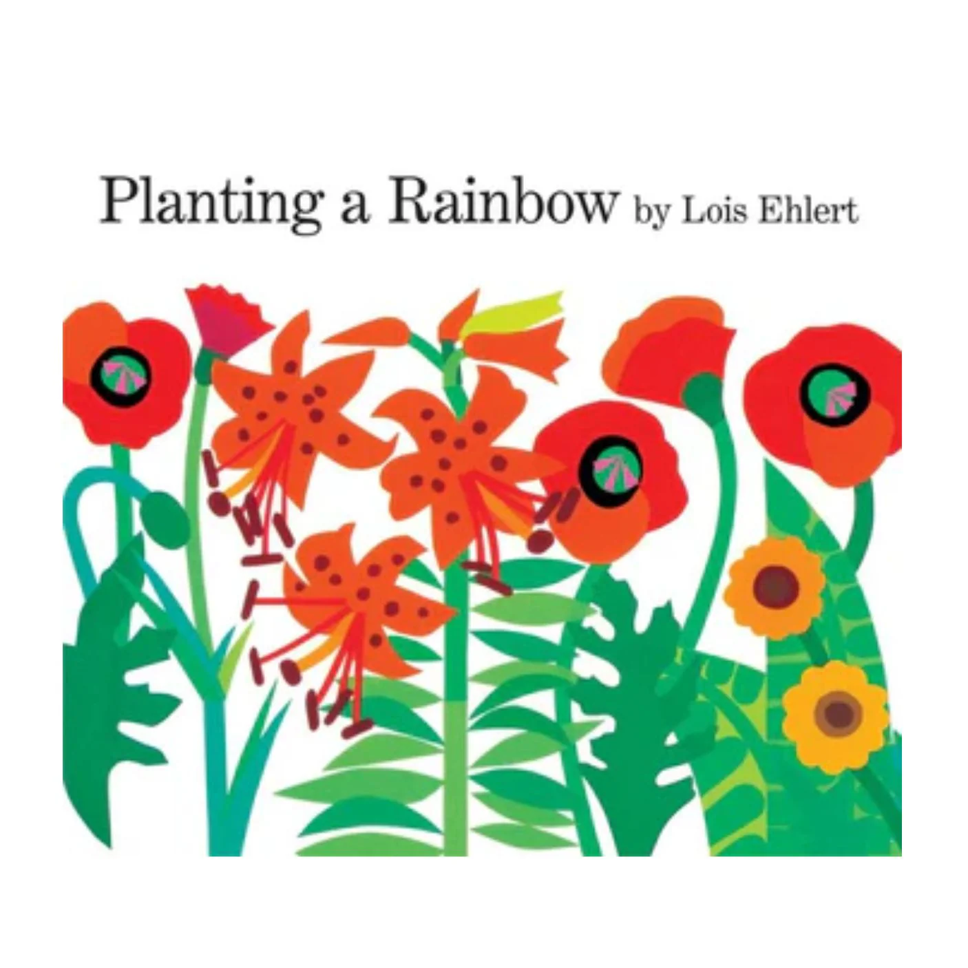 Planting a Rainbow - Large Board Book