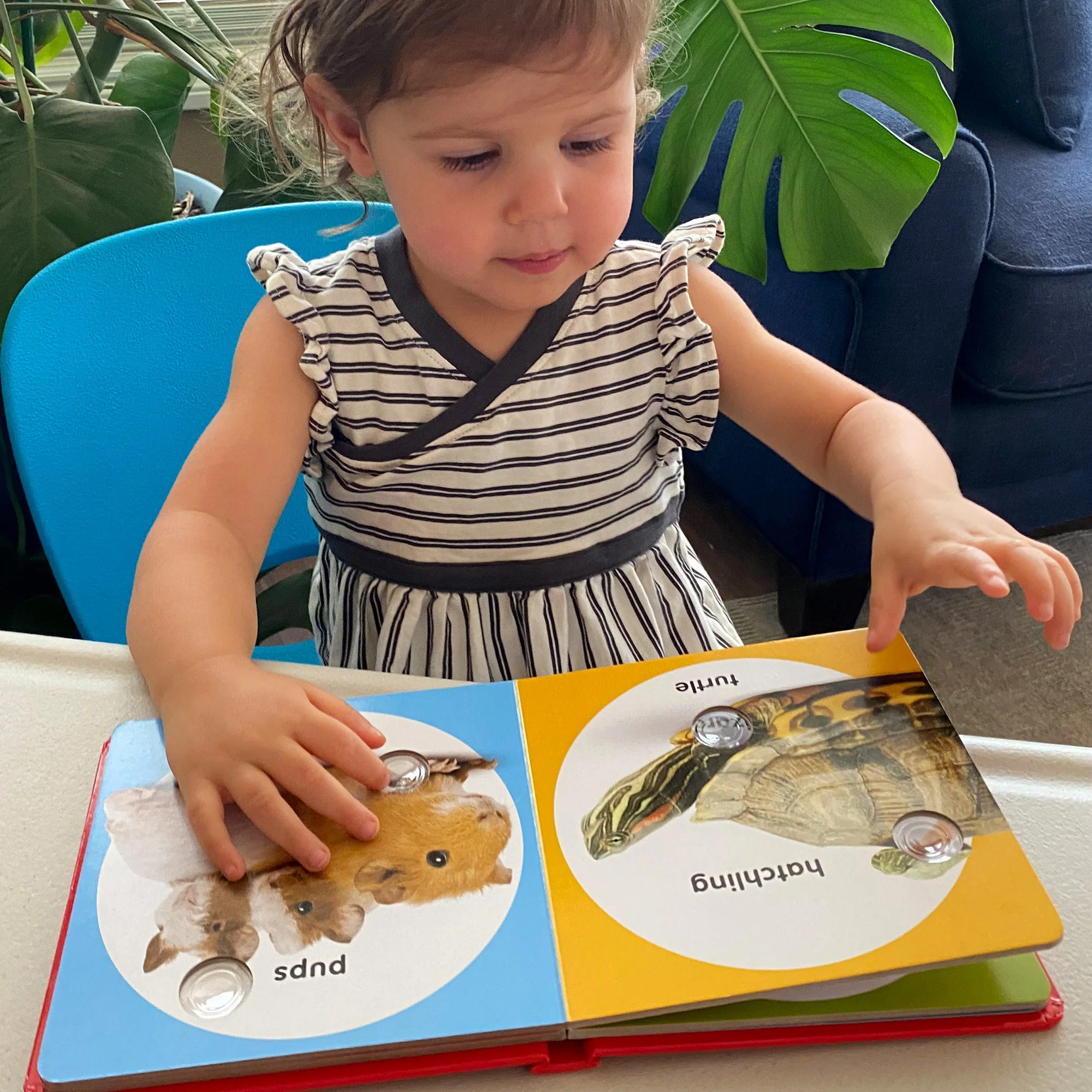 Poke-A-Dot Book - Pet Families - Image 2
