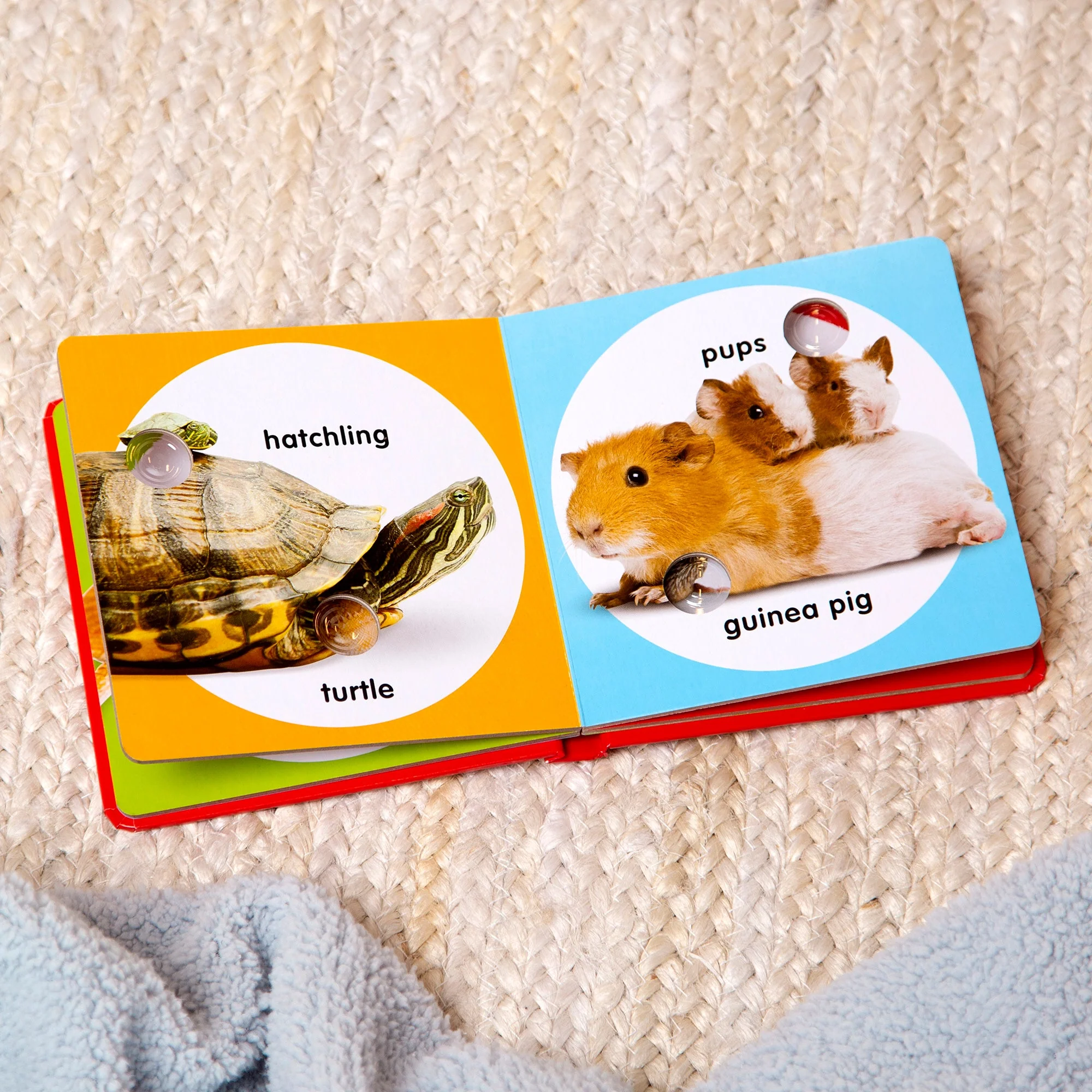 Poke-A-Dot Book - Pet Families - Image 4