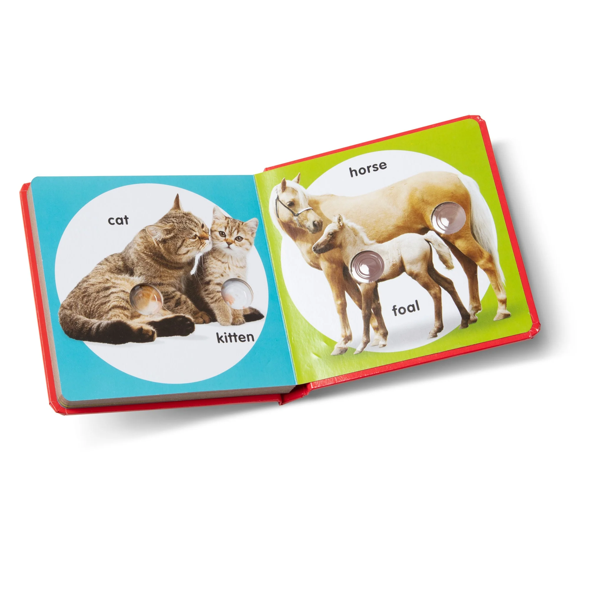 Poke-A-Dot Book - Pet Families - Image 5