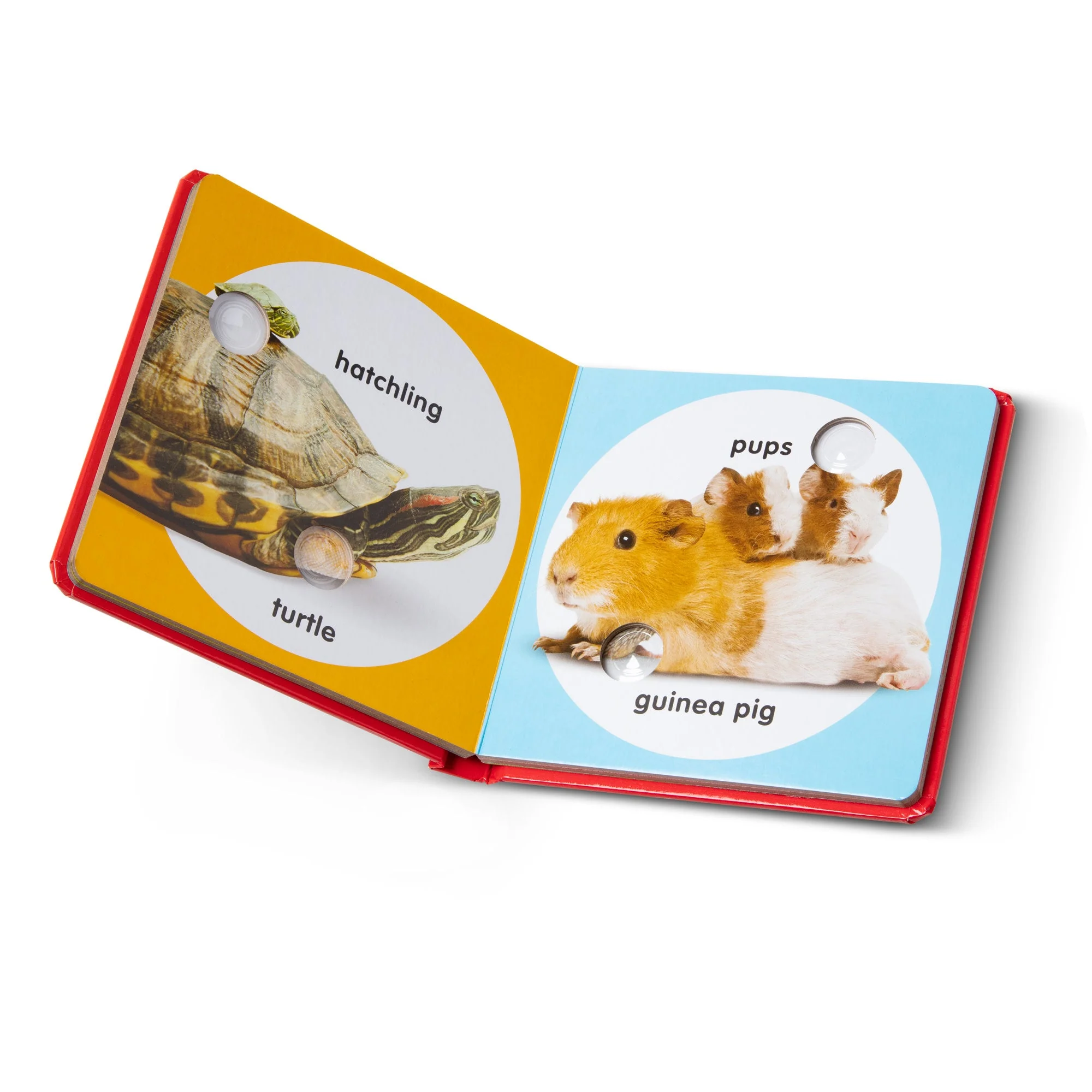 Poke-A-Dot Book - Pet Families - Image 6