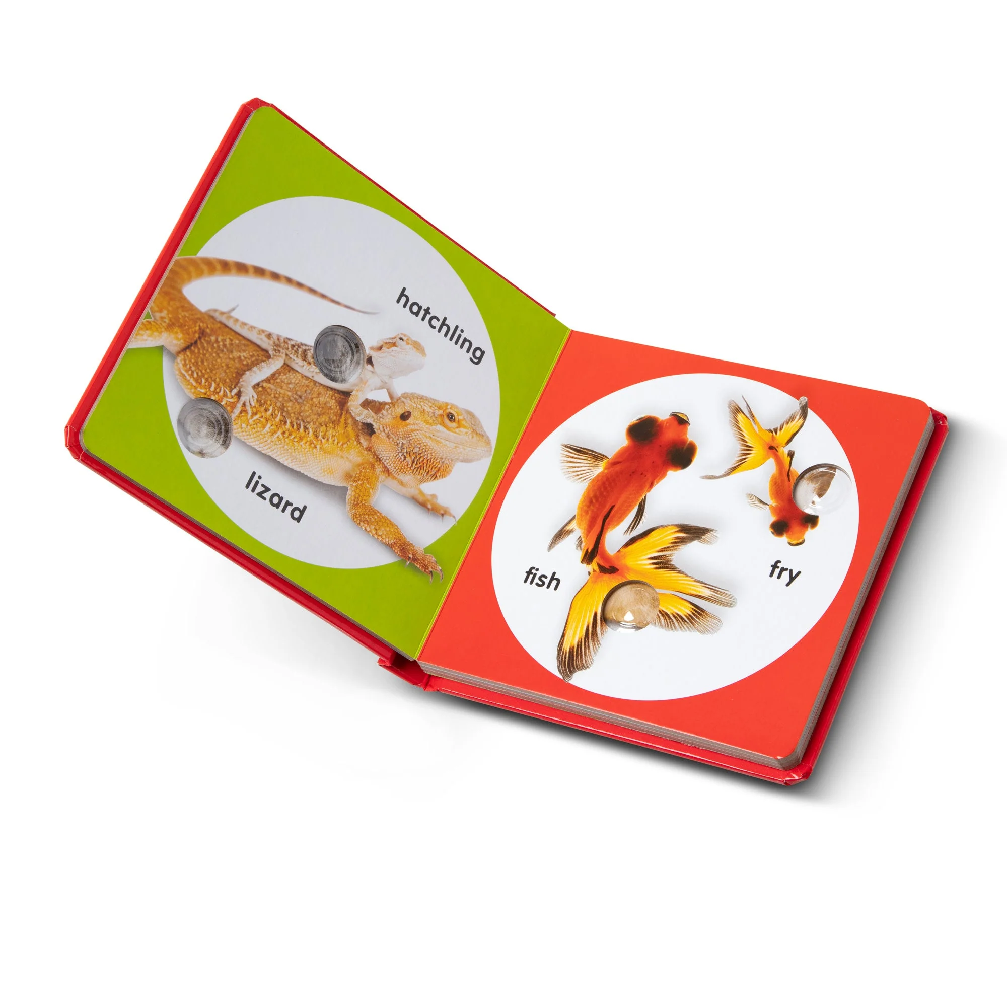 Poke-A-Dot Book - Pet Families - Image 7