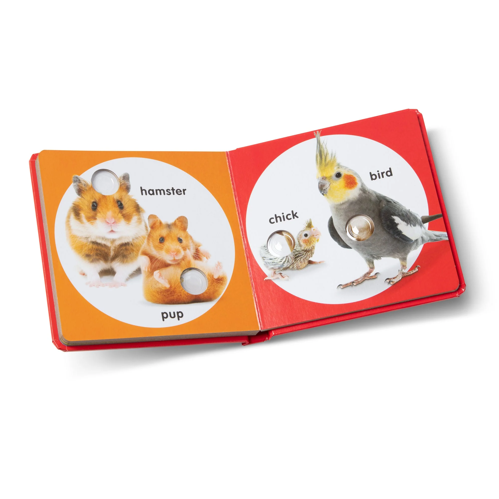 Poke-A-Dot Book - Pet Families - Image 9