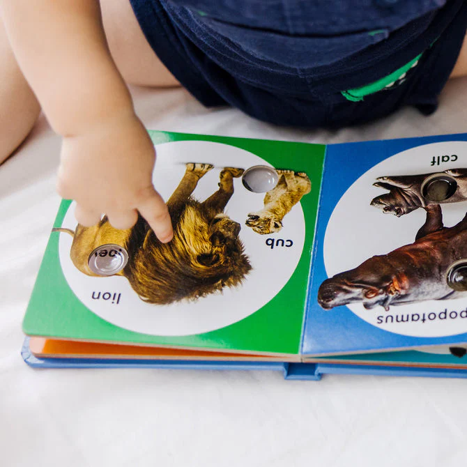 Poke-A-Dot Book - Wild Animal Families - Image 3