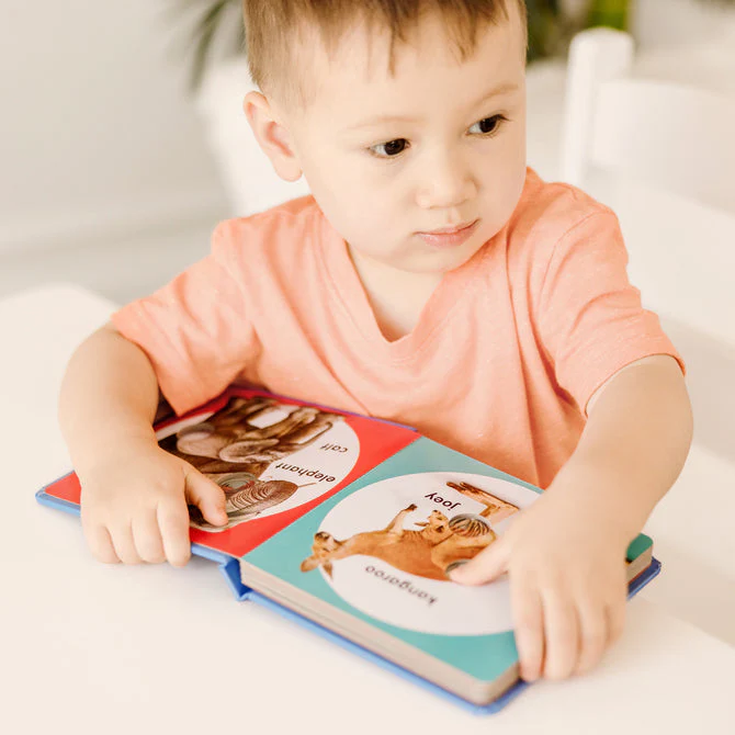 Poke-A-Dot Book - Wild Animal Families - Image 4