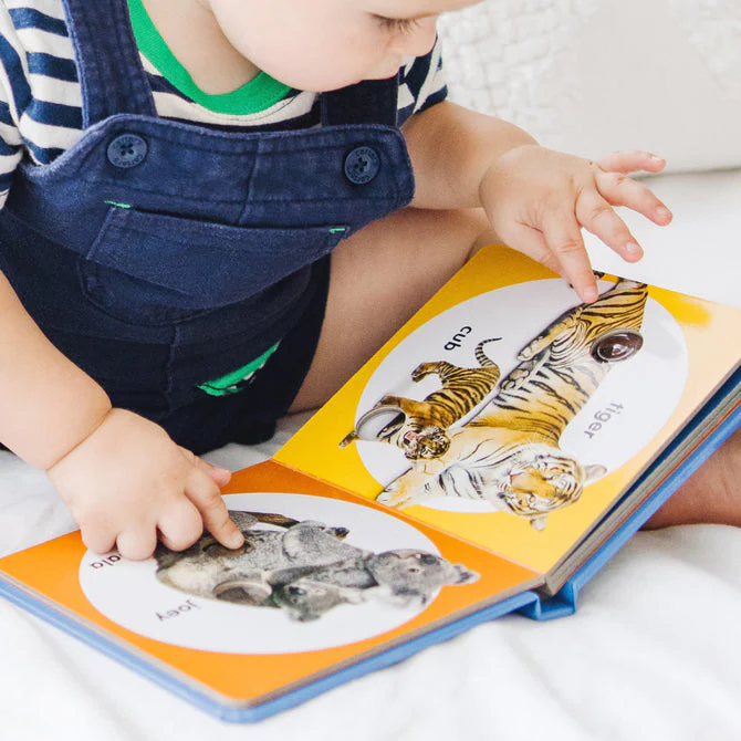 Poke-A-Dot Book - Wild Animal Families - Image 5