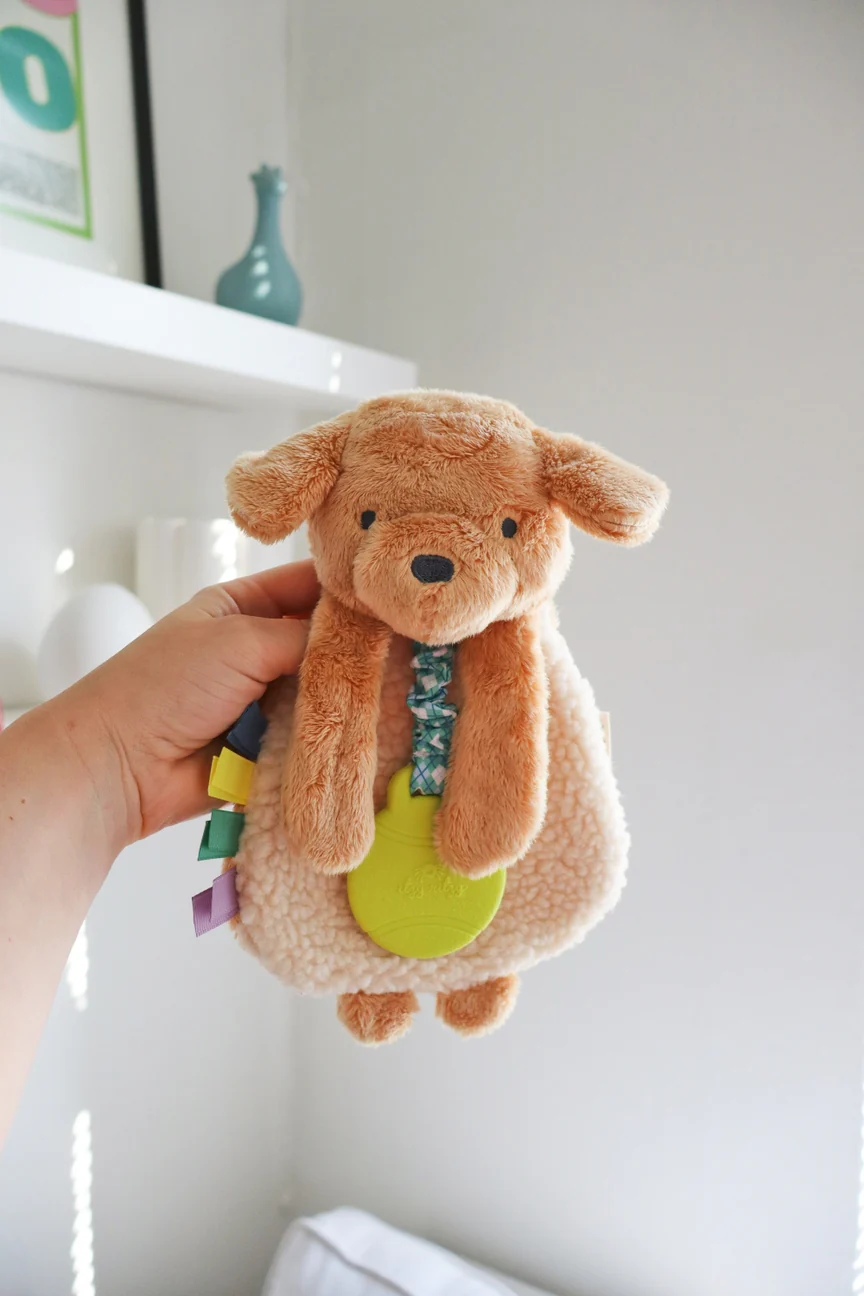 Puppy Itzy Friends Lovey Plush by Itzy Ritzy - Image 6