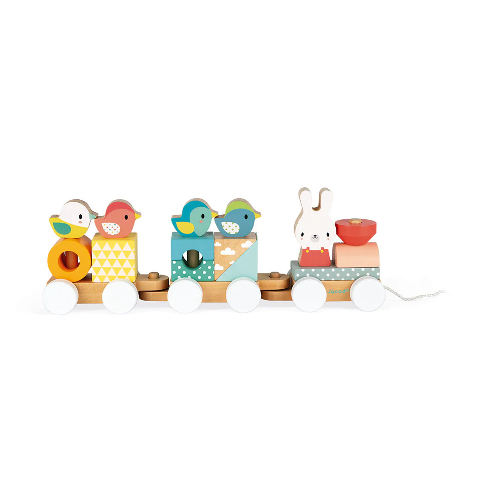 Pure Wooden Train by Janod