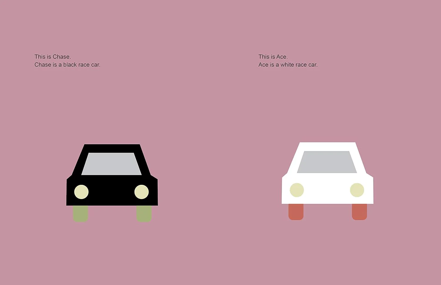 Race Cars: A Children's Book About White Privilege - Hardcover - Image 3