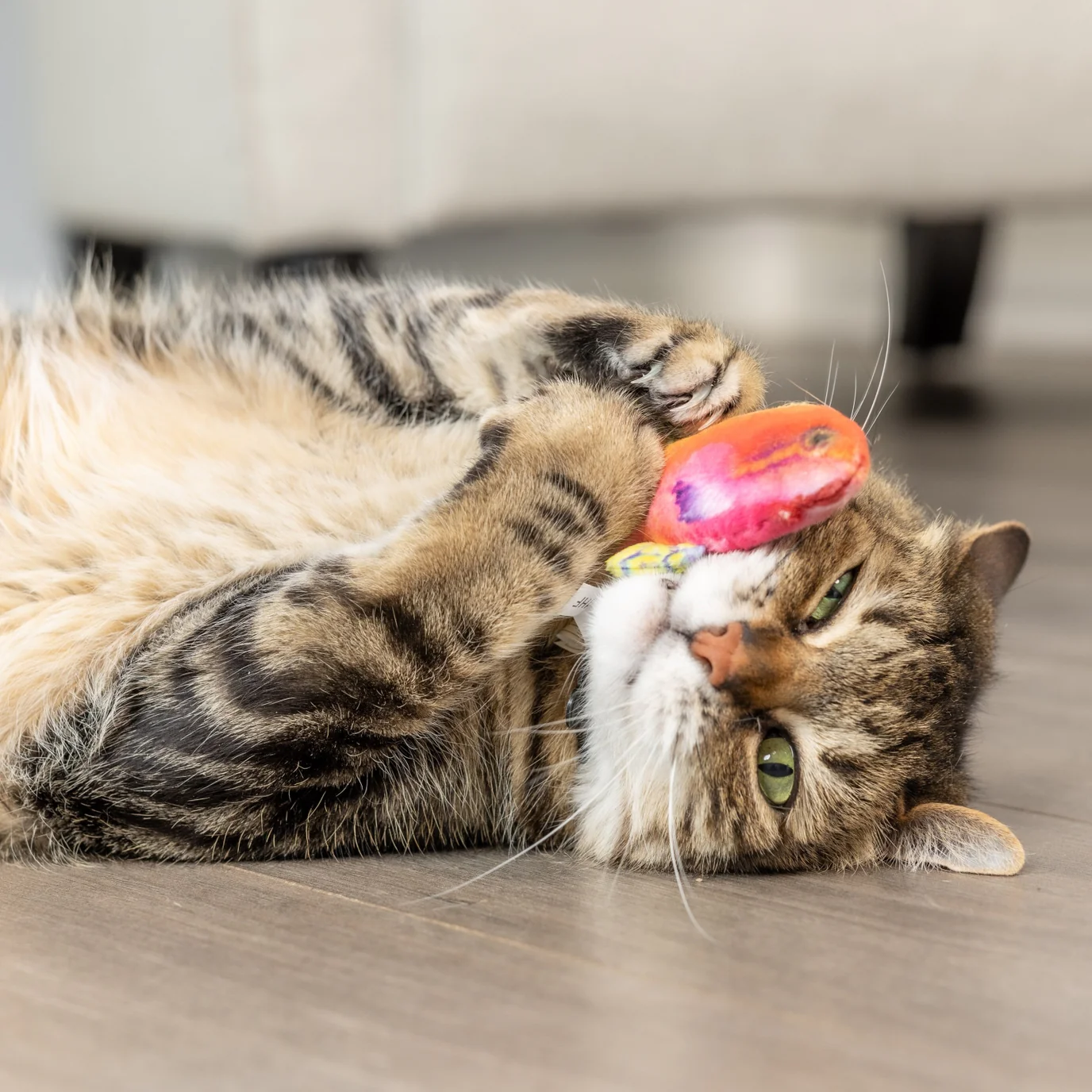 Rainbow Guppy Cat Toy by Huxley & Kent - Image 6