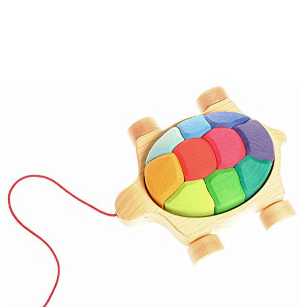 Rainbow Turtle by Grimm's - Image 2