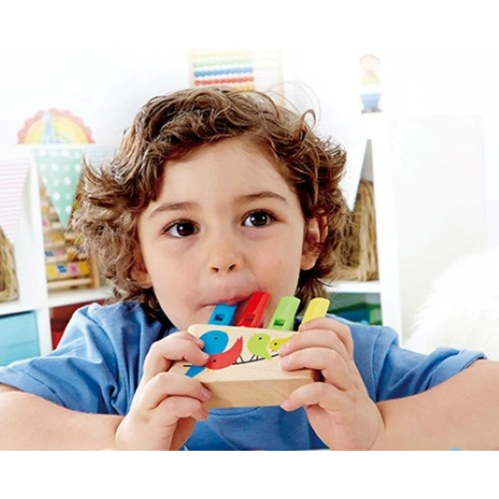 Rainbow Pan Pipe by Hape - Image 2