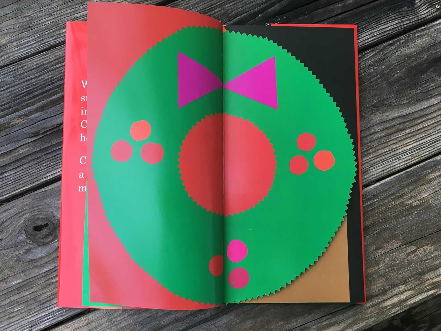Red & Green - Hardcover - FINAL SALE - Image 3