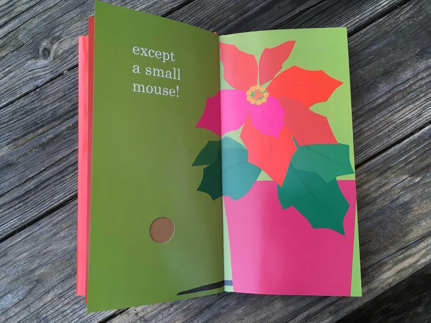Red & Green - Hardcover - FINAL SALE - Image 5