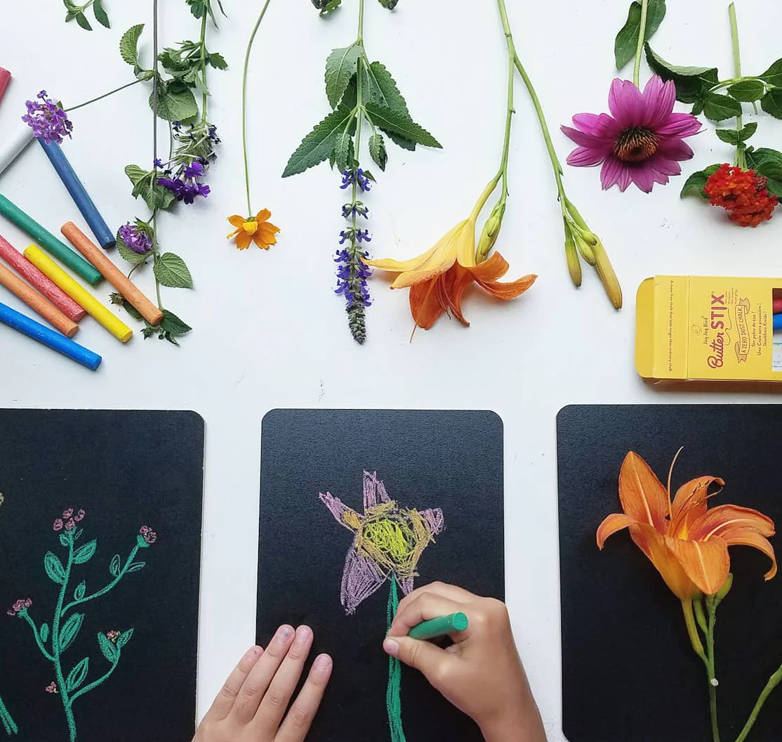 Reusable & Erasable Paper - 10 Pack by Jaq Jaq Bird - Image 9