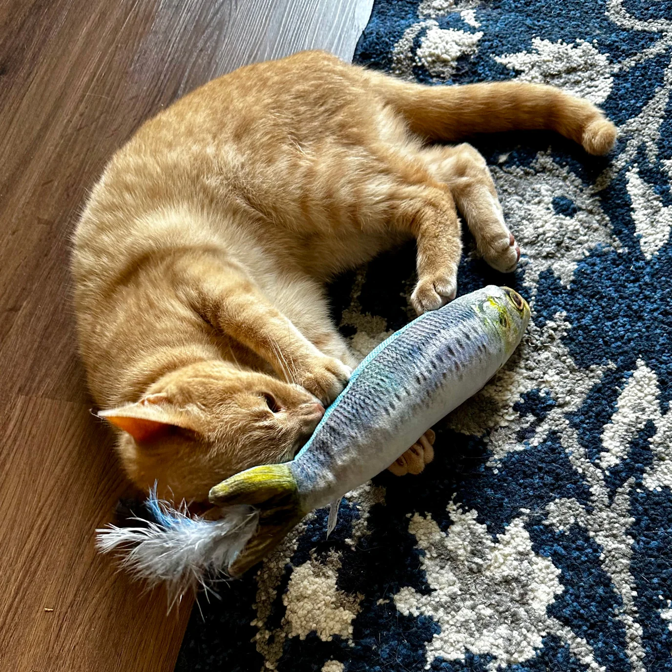 Sardine Kicker Cat Toy by Huxley & Kent - Image 7