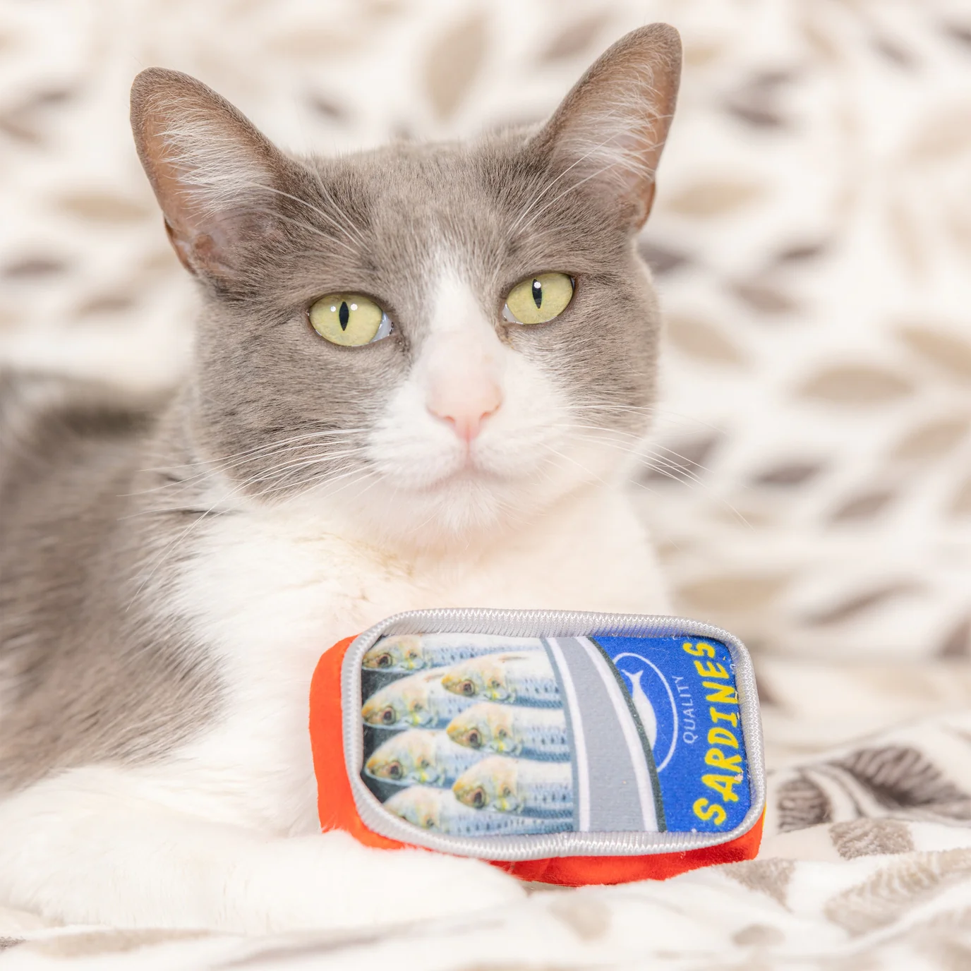 Sardine Tin Cat Toy by Huxley & Kent - Image 2